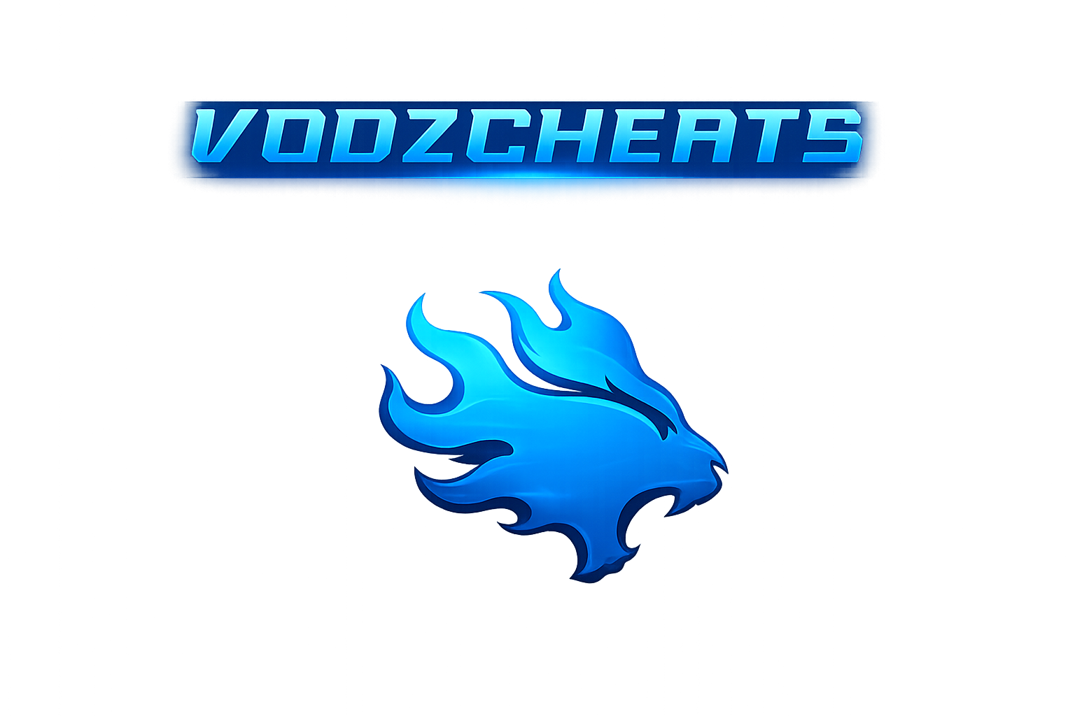 VodzCheats
